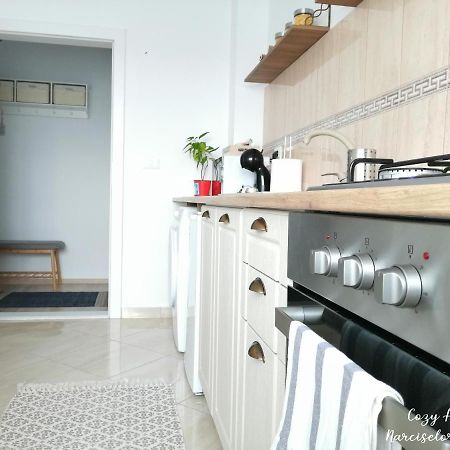 Cozy Apartment Narciselor Suceava Ipotesti  Bagian luar foto