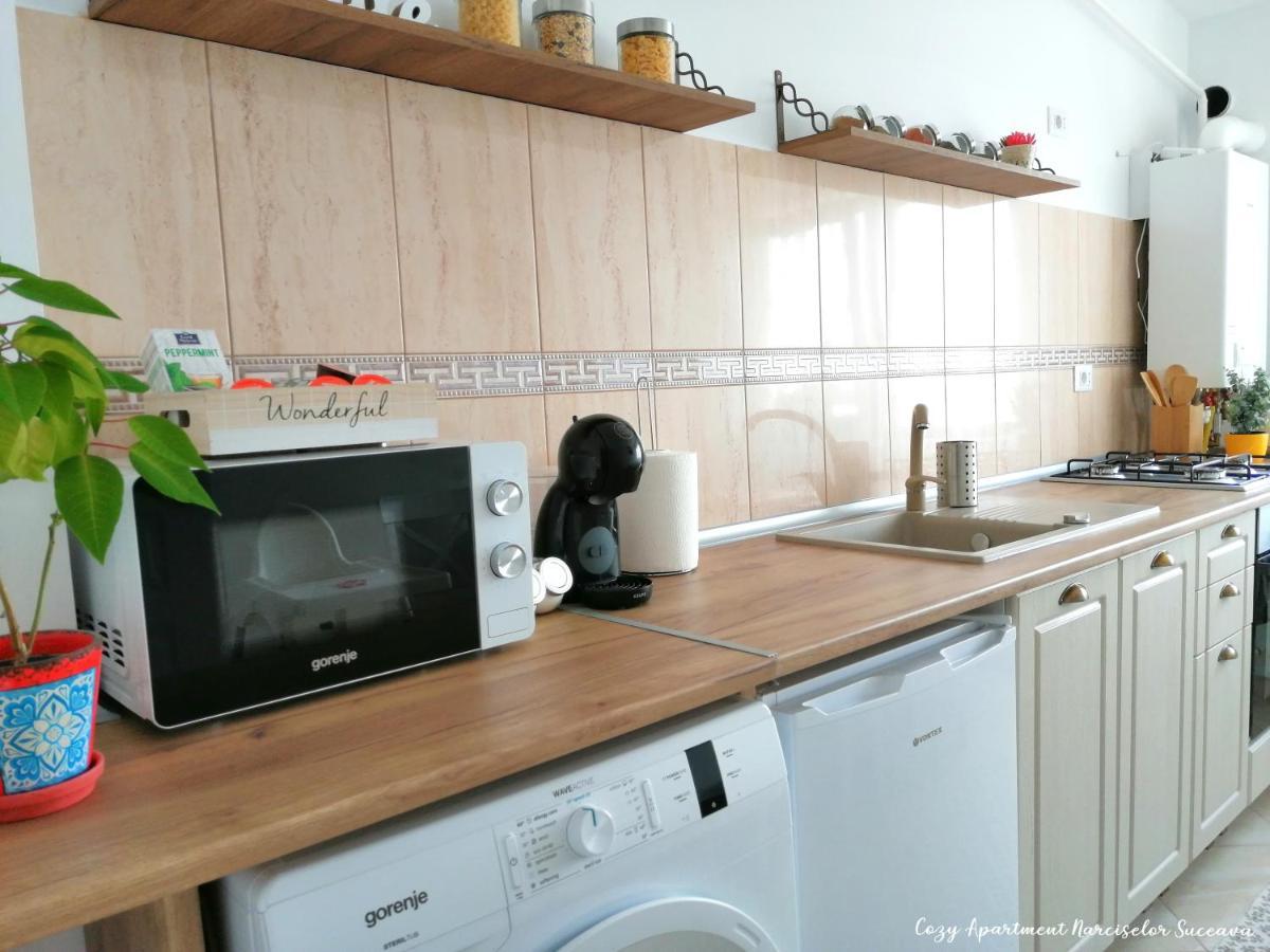 Cozy Apartment Narciselor Suceava Ipotesti  Bagian luar foto