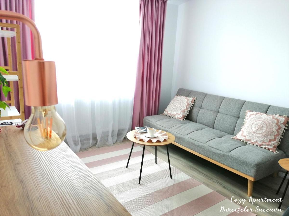 Cozy Apartment Narciselor Suceava Ipotesti  Bagian luar foto
