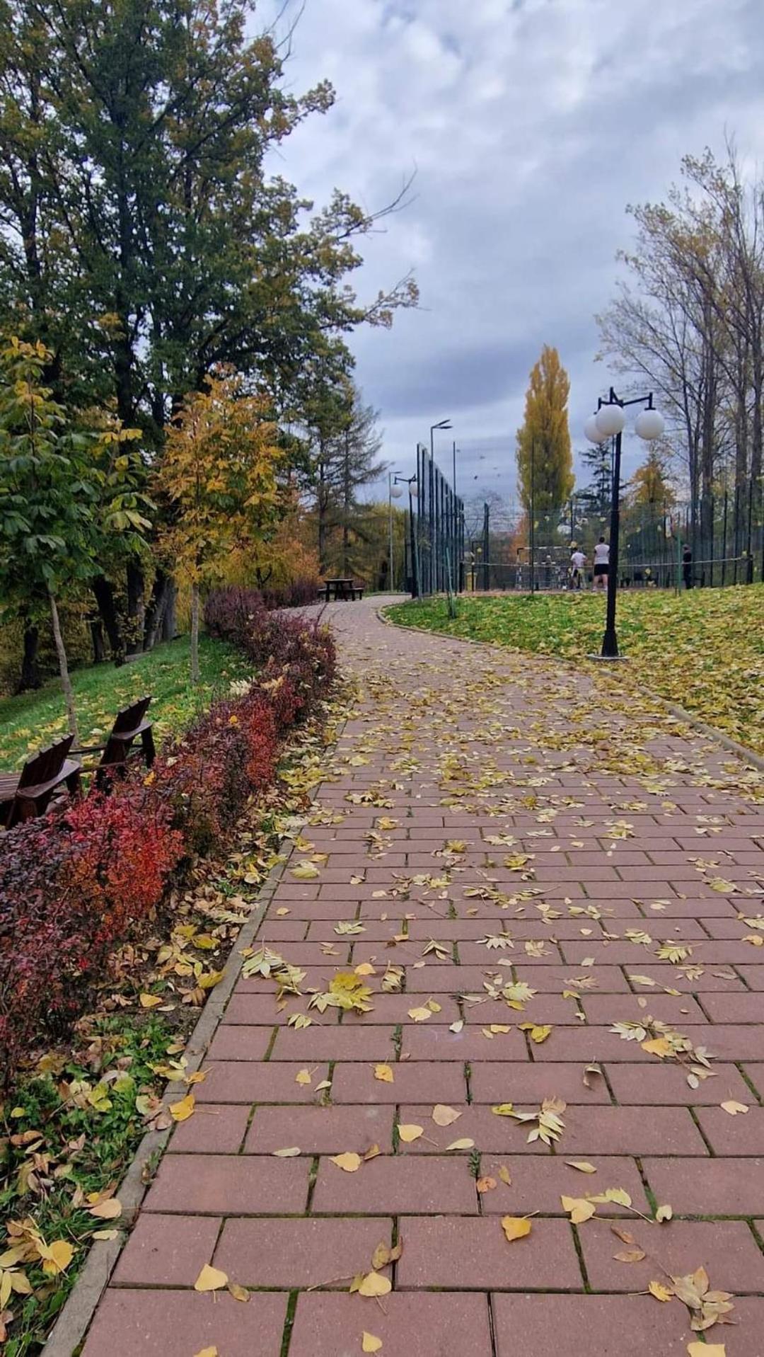 Cozy Apartment Narciselor Suceava Ipotesti  Bagian luar foto