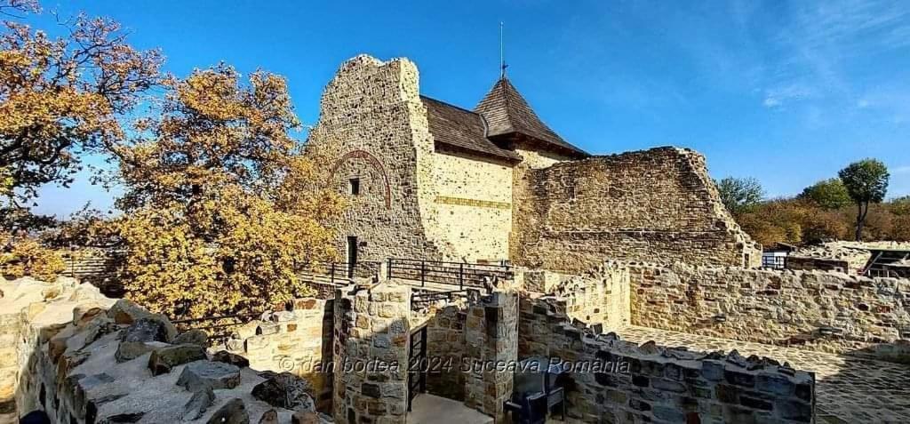Cozy Apartment Narciselor Suceava Ipotesti  Bagian luar foto